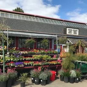 Browse our garden center and speak to our experts.