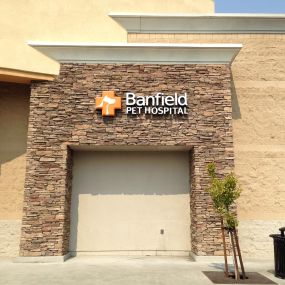 Banfield Pet Hospital - Antioch