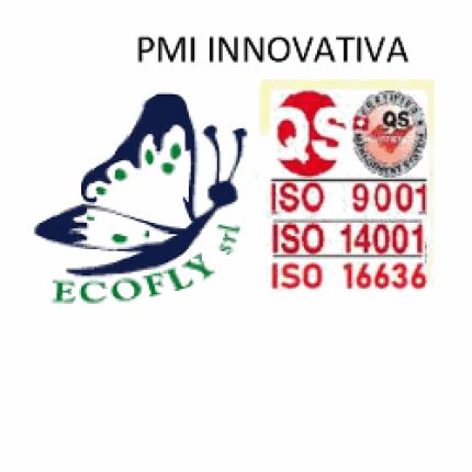 Logótipo de Ecofly