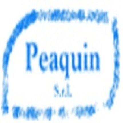 Logo from Peaquin  Srl Impianti Elettrici