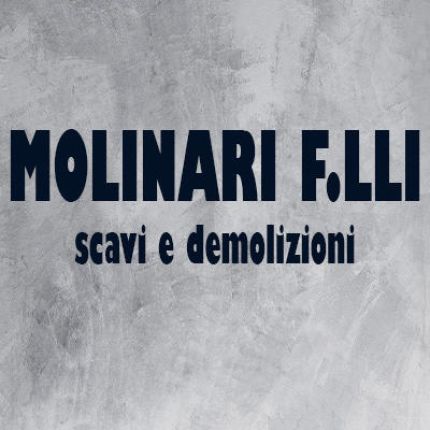 Logotyp från Molinari F.lli
