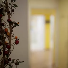 Bild von DDr. Endre und Dr. Nora Steger