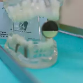 Bild von DDr. Endre und Dr. Nora Steger