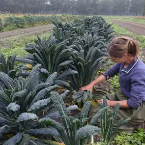 Bild von Biologische Landgoedtuinderij De Witte Raaf