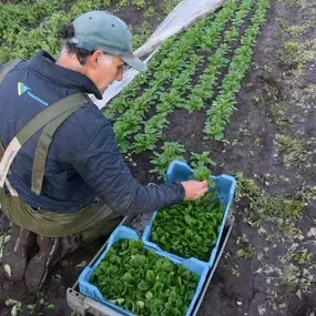 Bild von Biologische Landgoedtuinderij De Witte Raaf