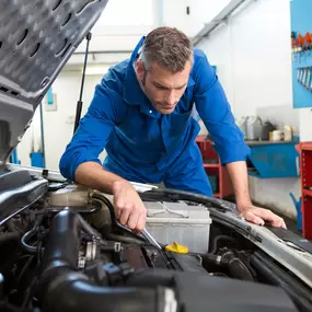 Bild von World Auto Body - Escondido