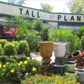 Best plant nursery and garden center