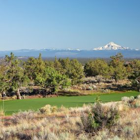 Hole #14 Green