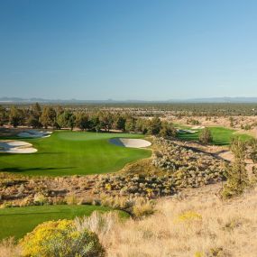 Par 3, Hole #17