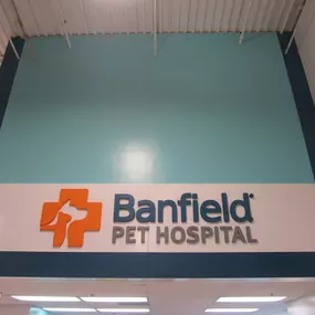 Bild von Banfield Pet Hospital