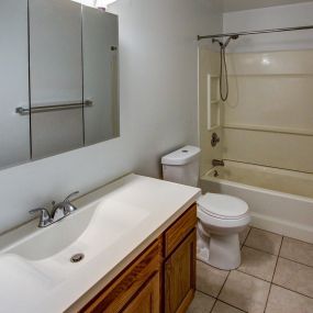 Standard unit example bathroom