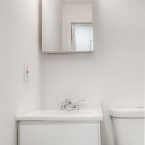Premium unit example half bathroom