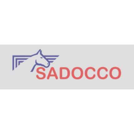 Logo van Sadocco Iseo