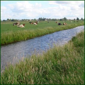 Kaas en IJsboerderij Cornelis Hoeve