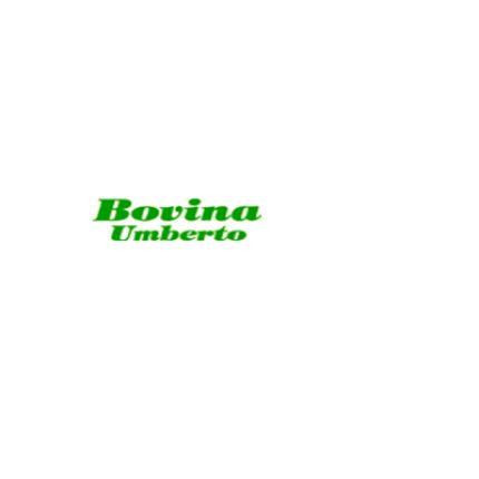 Logo von Bovina Umberto