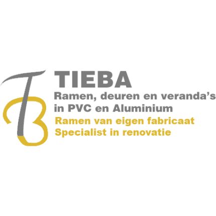 Logo van Tieba