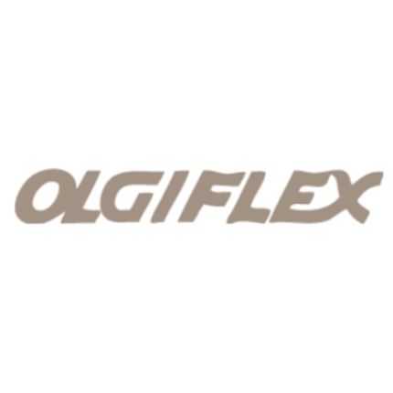 Logótipo de Olgiflex