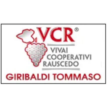 Logo van Giribaldi Tommaso e Pietro