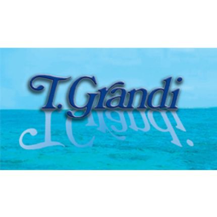Logo van Onoranze Funebri T Grandi