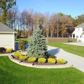 Bild von Precision Landscaping Corporation