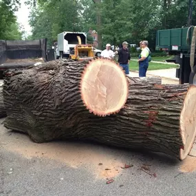 Bild von Precision Landscaping Corporation