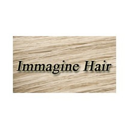 Logo de Immagine Hair
