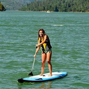 Bild von Holiday Harbor - Shasta Lake House Boat Rentals & Marina