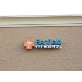 Banfield Pet Hospital® - Falls Church