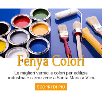 Logo da Fenya Colori