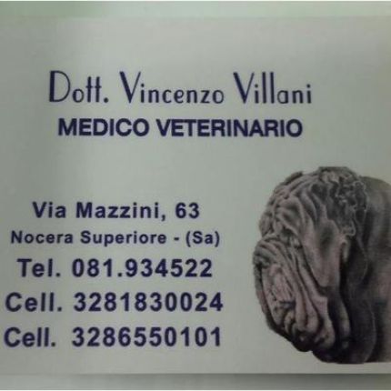 Logotipo de Centro Medico Veterinario Villani Dr. Vincenzo