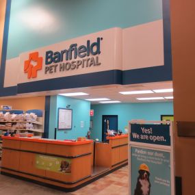 Bild von Banfield Pet Hospital