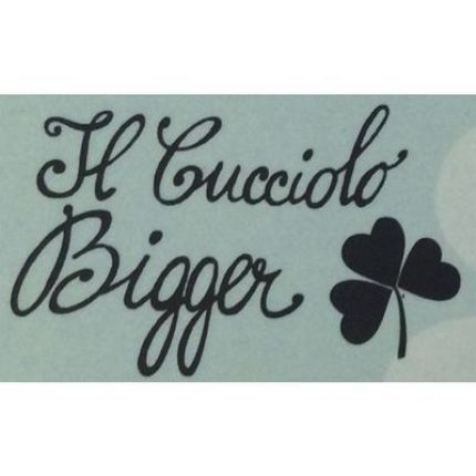 Logo from Il Cucciolo