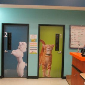 Bild von Banfield Pet Hospital