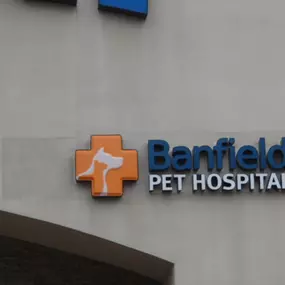 Banfield Pet Hospital® - Beaver