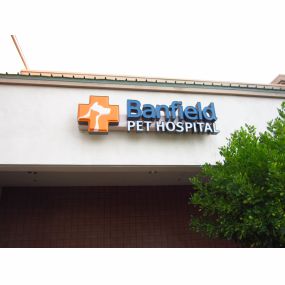 Banfield Pet Hospital® - Mesa North