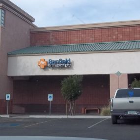 Banfield Pet Hospital® - Mesa North