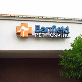 Banfield Pet Hospital® - Mesa North