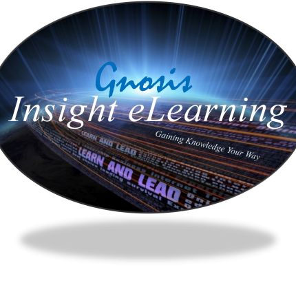 Logo van Insight eLearning