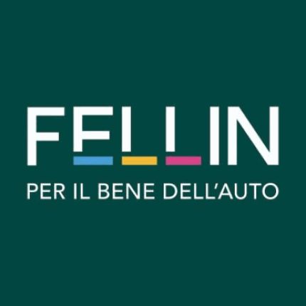 Logo von Fellin Luca