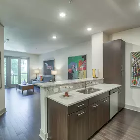 Kitchen and Living Space