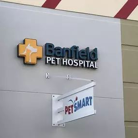 Banfield Pet Hospital - South Tampa