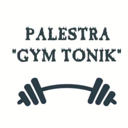 Logo de Palestra Gym Tonik