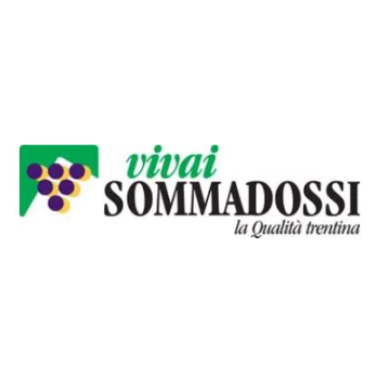 Logotipo de Vivai Sommadossi