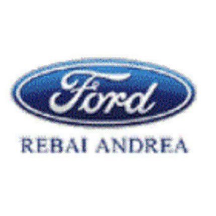 Logo van Ford - Rebai Andrea