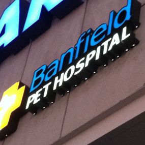 Banfield Pet Hospital - Pasadena