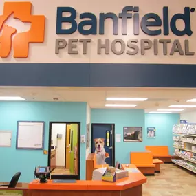 Bild von Banfield Pet Hospital