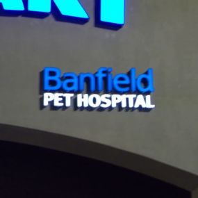 Banfield Pet Hospital® - Roanoke North