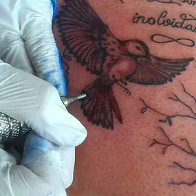 tatuaje-pajaro-03.jpg