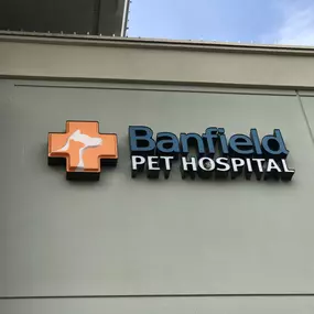 Banfield Pet Hospital® - Desert Ridge