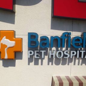 Banfield Pet Hospital - Citrus Heights